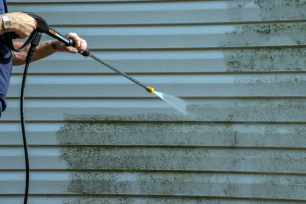 Best Exterior Home Cleaning  in Tyndall, SD
