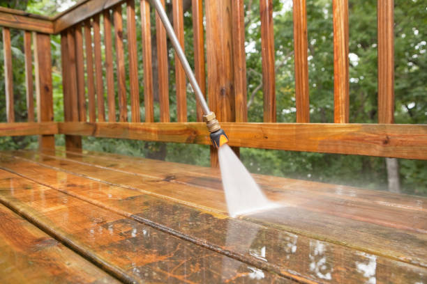 Best Roof Pressure Washing  in Tyndall, SD